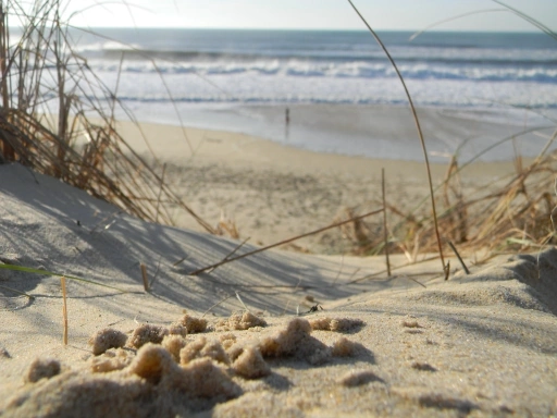 gros plan sable avec mer en fond